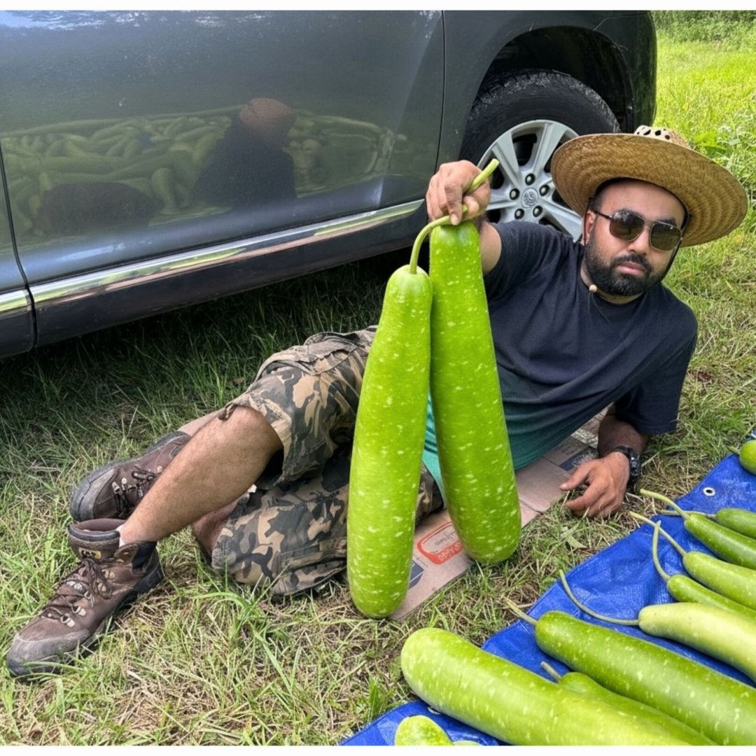 Bottle Gourd Calabash Nice Green Variety Seeds