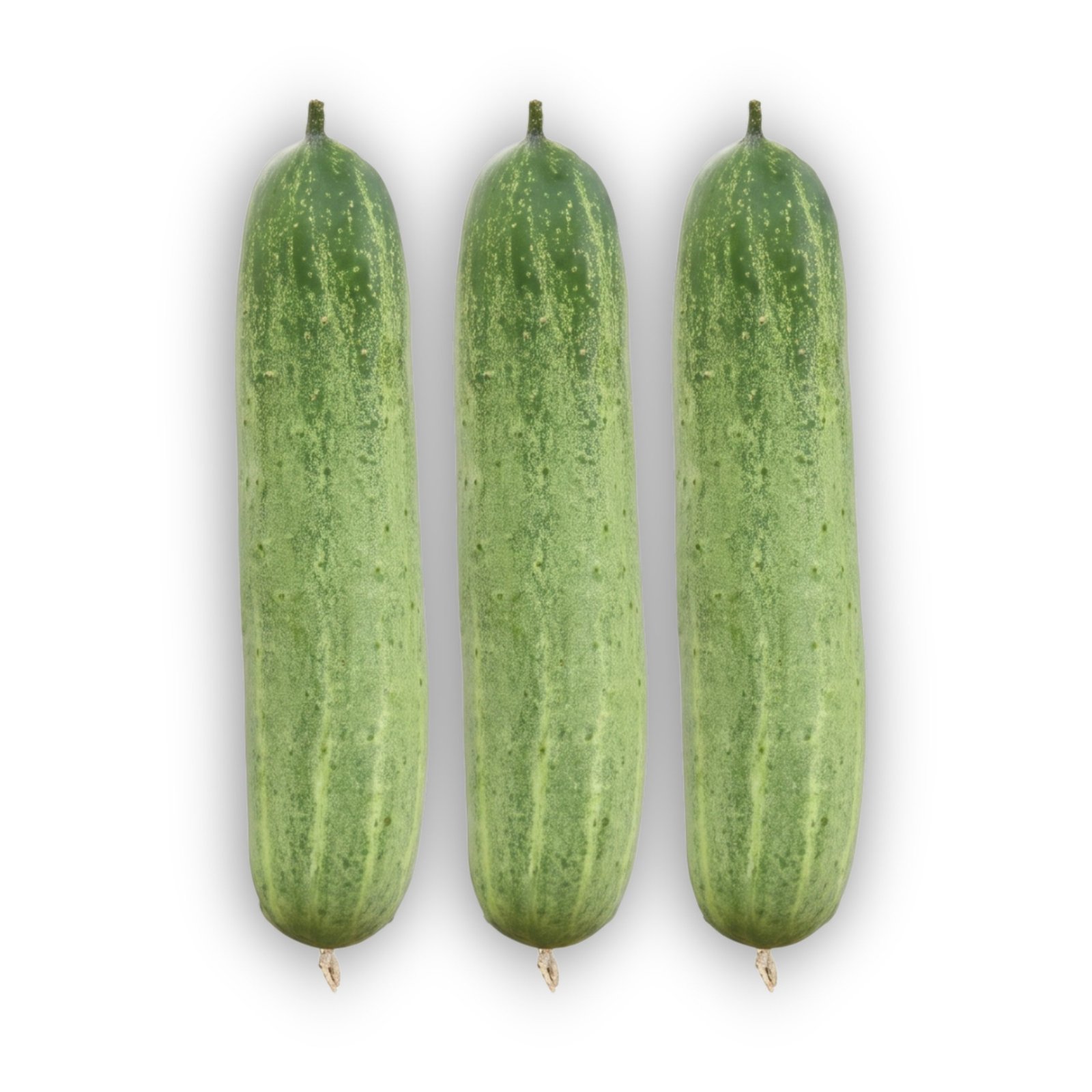 Fresh Cucumber Profit-2 cucumbers with smooth light green skin, ideal for slicing, salads, and home gardening.