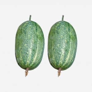 Two fresh Cucumber (Khira) Naogan-5 cucumbers with smooth deep green skin isolated on a white background.