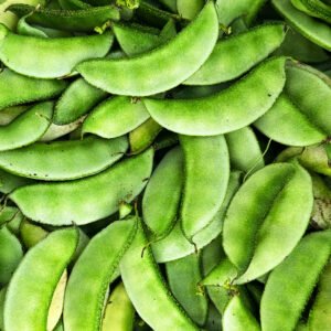 Hyacinth Bean Seeds – Flat Green Pods – Ipsa-2