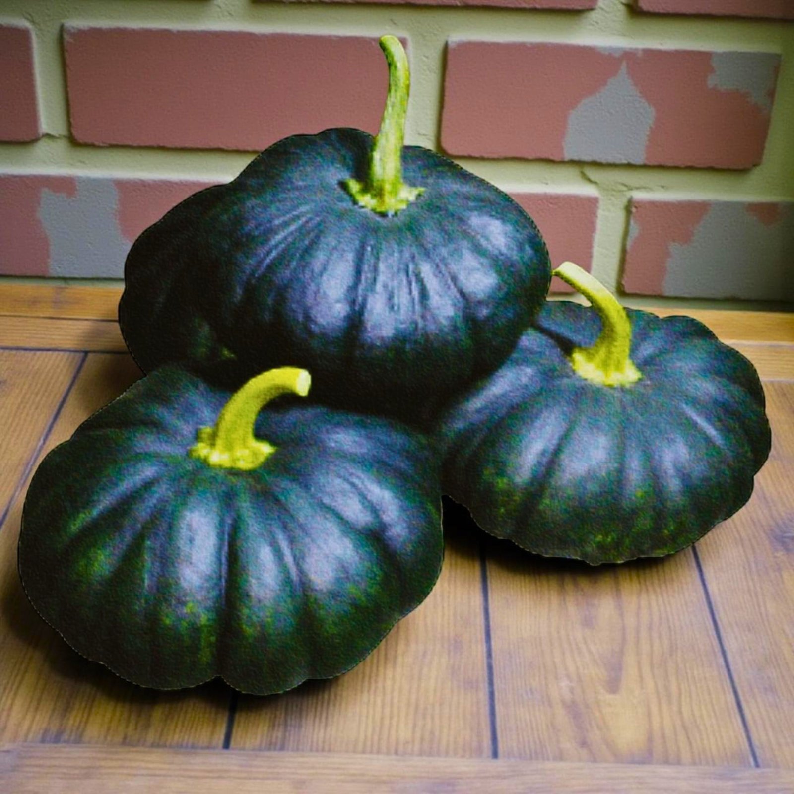 Pumpkin Maxima seeds for planting with mature pumpkin fruit