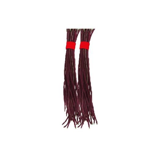 Yard Long Bean Seeds – Agnibina Red For Planting