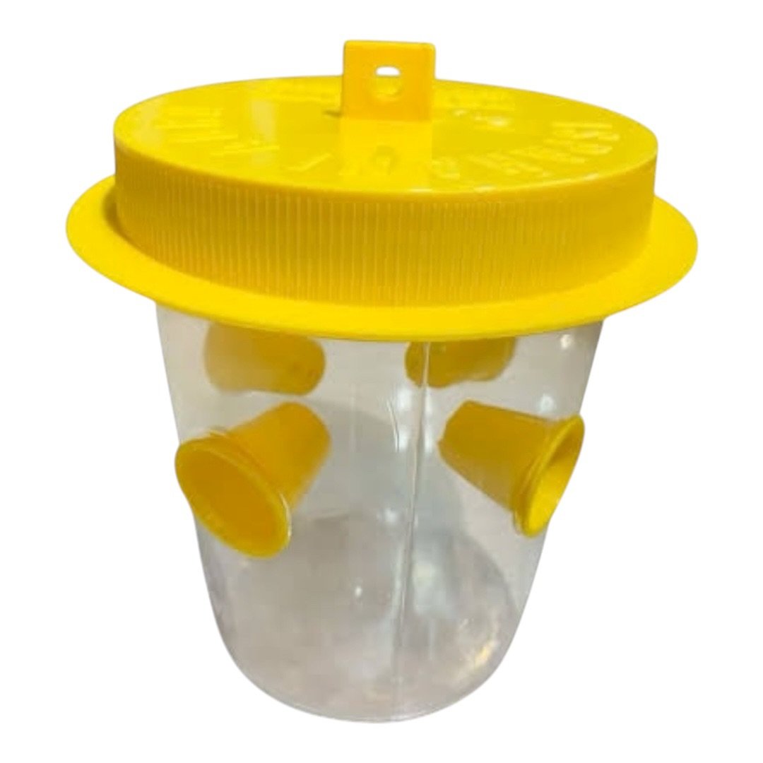 Pheromone trap - Image 2