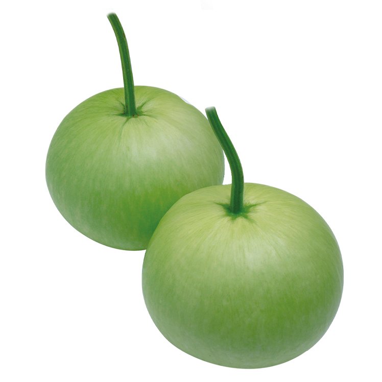 Bottle Gourd || Light Queen Round Bottle Gourd Seeds